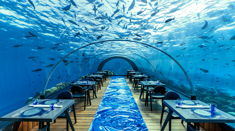 kudadoo maldives private island undersea restaurant